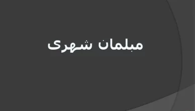پاورپوینت مبلمان شهری (تاریخچه و انواع آن)