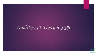 پاورپوینت شهر دوستدار سالمند (Age-Friendly City)