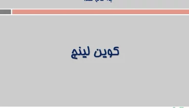 پاورپوینت نظریات کوین لینچ (دانلود 6 نمونه)